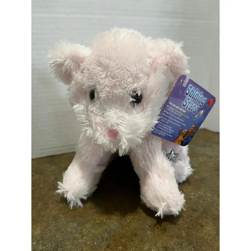RUSS Shining Stars official International star registry name your own star bear